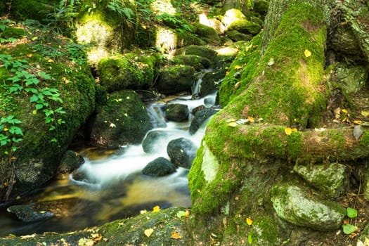 Mountain stream in the forest,running water with moss-covered stones