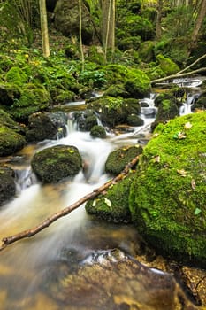 Mountain stream in the forest,running water with moss-covered stones