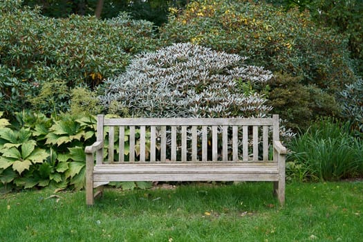 Wooden park bench in a public park in Magdeburg