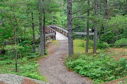 Remote Footbridge in the Forest in Chutes Provincial Park in Ontario