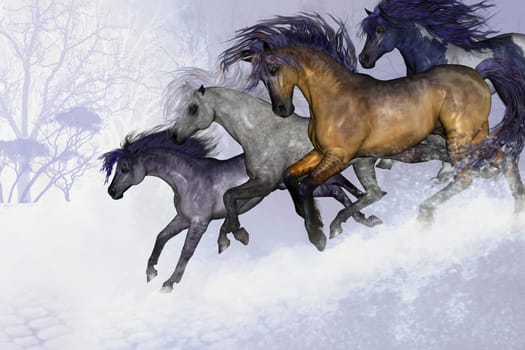 A herd of Mustangs gallop down a snowy hill in the middle of winter.