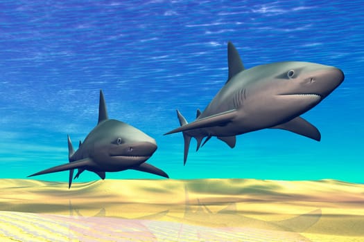 Two Maco Sharks patrol an ocean reef in clear tropical waters.