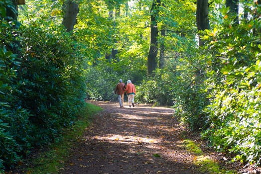 elderly couple enjoying their walk  in a forest