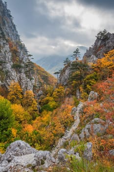 Tasnei Gorge protected area in Baile Herculane, Romania