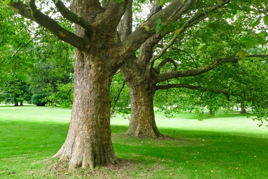 Beautiful park in Bad Nauheim