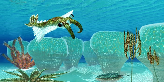 Anomalocaris, an invertebrate predator of Cambrian seas, sneaks up on a Trilobite his favorite prey among Stromatolites.