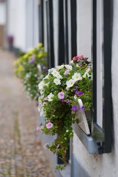 planter with blooming flowers in front of a house