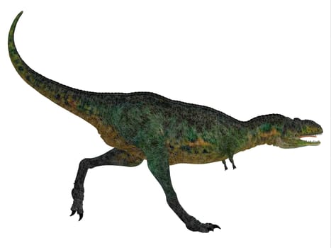 Aucasaurus was a predatory dinosaur from the Cretaceous Period in Argentina and a close relative of Carnotaurus.