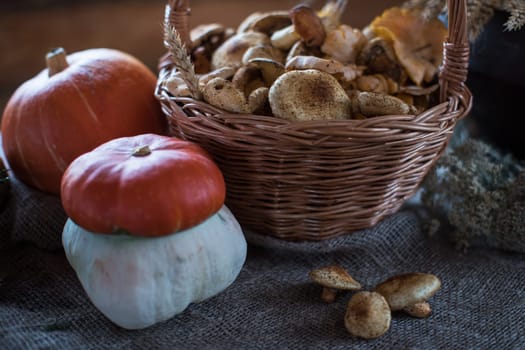 Still life from autumn nature gifts. mushrooms and vegetables