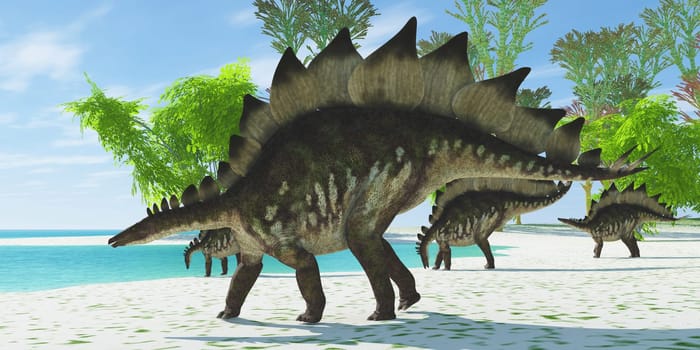 A herd of Stegosaurus dinosaurs head down to a lake for a drink in the Jurassic Age.