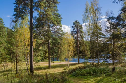 Colorful autumn landscape in the forest lake, Estonia