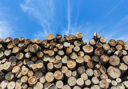 Stack of cut timber logs against clear blue sky. Closeup of wooden trunks.