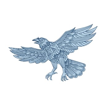 Mandala style illustration of a Crow, raven or blackbird  Flying  viewed from side on isolated background.