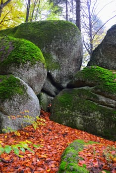 Photo Forest in autumn Granite rocks Fichtelgebirge