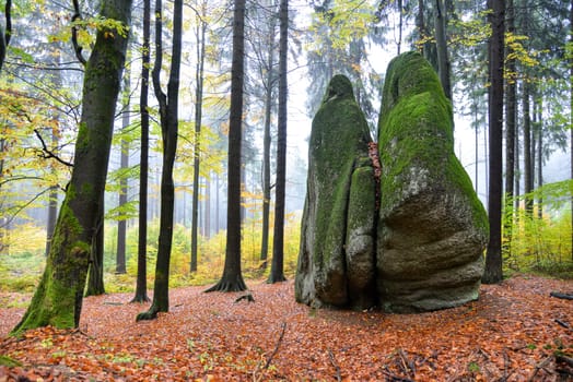 Photo Forest in autumn Granite rocks Fichtelgebirge