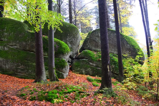 Photo Forest in autumn Granite rocks Fichtelgebirge