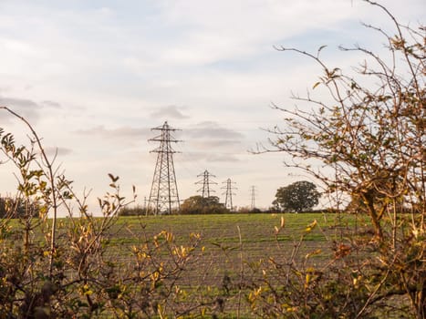 electricity pylons row of far distance field farm agriculture  Essex  England  UK