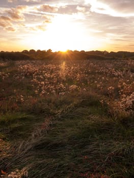 beautiful sun set sky sun over hazy grass brown field in front  Essex  England  UK