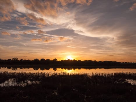 stunning bright autumn harvest sun set scene over lake water reflection reed silhouette  Essex  England  UK