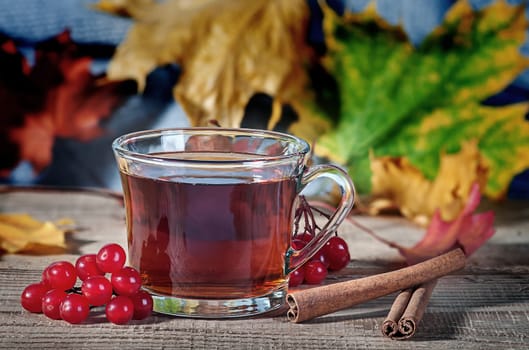 Cup of black tea, wool scarf, viburnum berries and spices on a rustick wooden table. Black tea in a transparent cup and maple leaves.