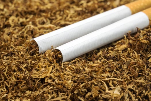 Tobacco for stuffing,finely chopped tobacco with cigarettes