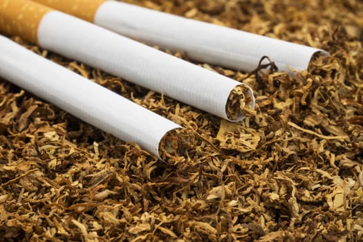 Tobacco for stuffing,finely chopped tobacco with cigarettes