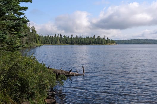North Woods Lake on a Quiet Summer Day in the Boundary Waters in Minnesota