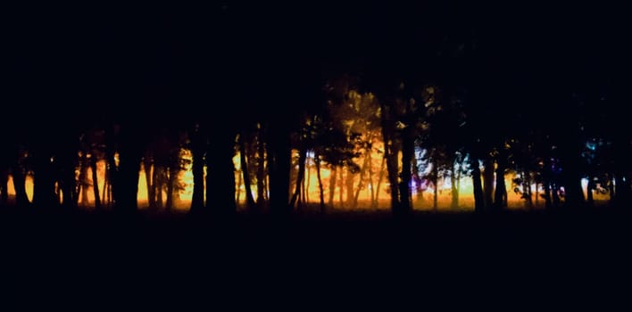 fog in the park,night,soft focus,high iso