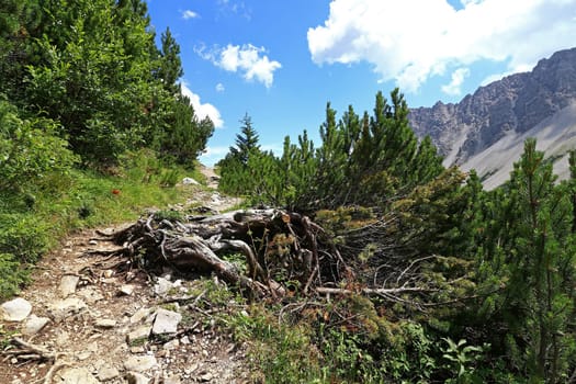 Mountaineering on the Hahntennjoch in Austria. Mountain trail in the mountains