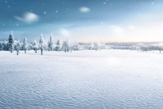 Landscape of snowy field with frozen trees at winter