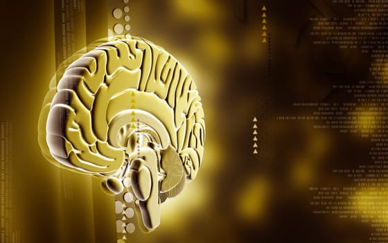 Digital illustration of brain in colour background