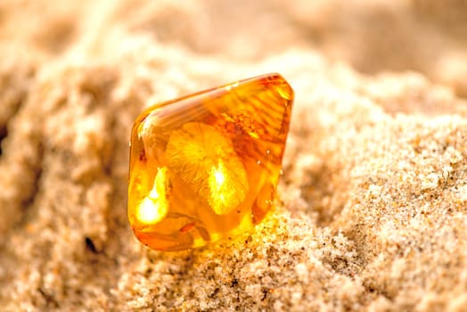Amber on the Baltic Sea beach.