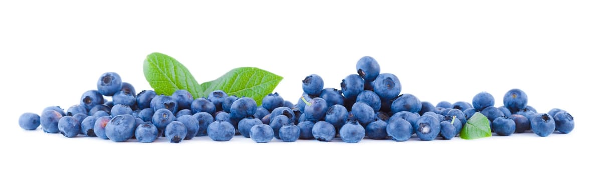 fresh blueberries fruits isolated on white panoramic background