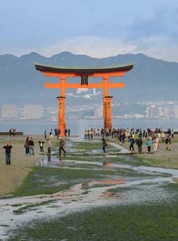 MIYAJIMA, JAPAN - NOVEMBER 20, 2016: The great O-Torii of Itsukushima Shrine. Tourists walk around the famous floating torii gate of the Itsukushima Shrine on Miyajima at low tide in Miyajima, Japan