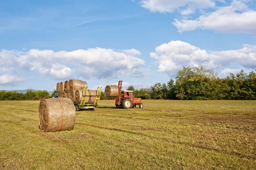 Agricultural scene. Tractor collecting hay bales in field and loading on farm wagon.