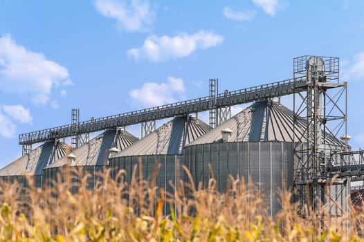 Agricultural storage tanks. Silos for storing cereals. Countryside scene.