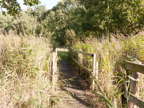 wooden countryside nature reserve crossing bridge floor no people  essex  england  uk