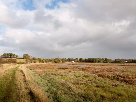 beautiful empty walkway through coastal scene grass   essex  england  uk