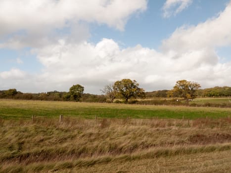 empty hill side scene in country with trees in distance and blue and clouded sky  essex  england  uk