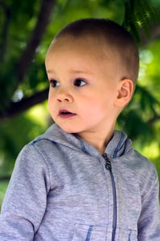 Portrait about a little boy in gray on nature background.
