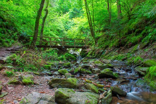 Lotenbach Gorge in Blach Forest, Germany