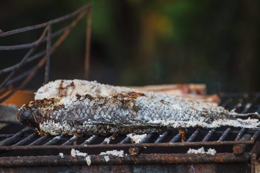 Grilling fish on framfire, cooking in garden