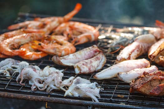 Assorted delicious grilled meat.over the coals on a barbecue