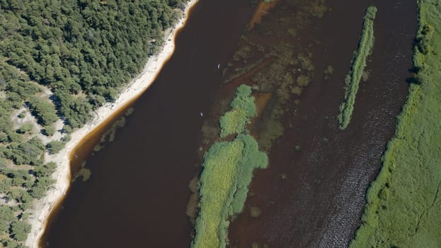 Gauja river Latvia drain into Baltic Sea aerial drone top view