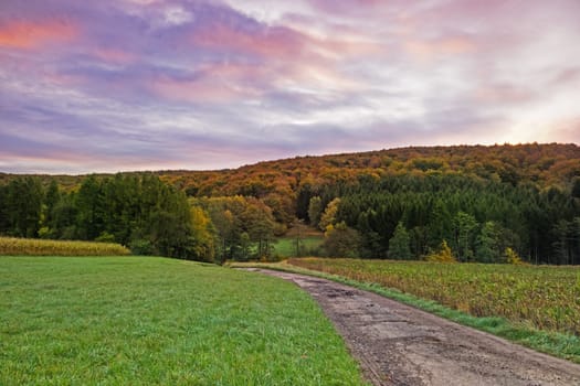 Landscape In autumn,trees with autumnal colours