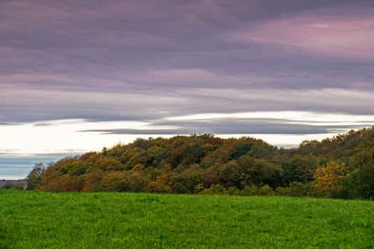 Landscape In autumn,trees with autumnal colours