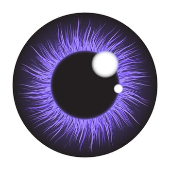 Purple  iris eye realistic  vector set design isolated on white background