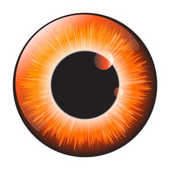 Orange, hazel  iris eye realistic  vector set design isolated on white background