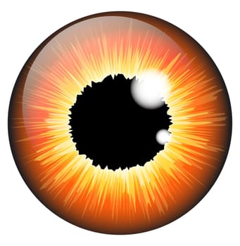 Orange, hazel  iris eye realistic  vector set design isolated on white background