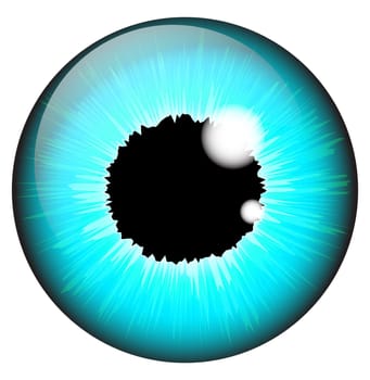 Blue iris eye realistic  vector set design isolated on white background